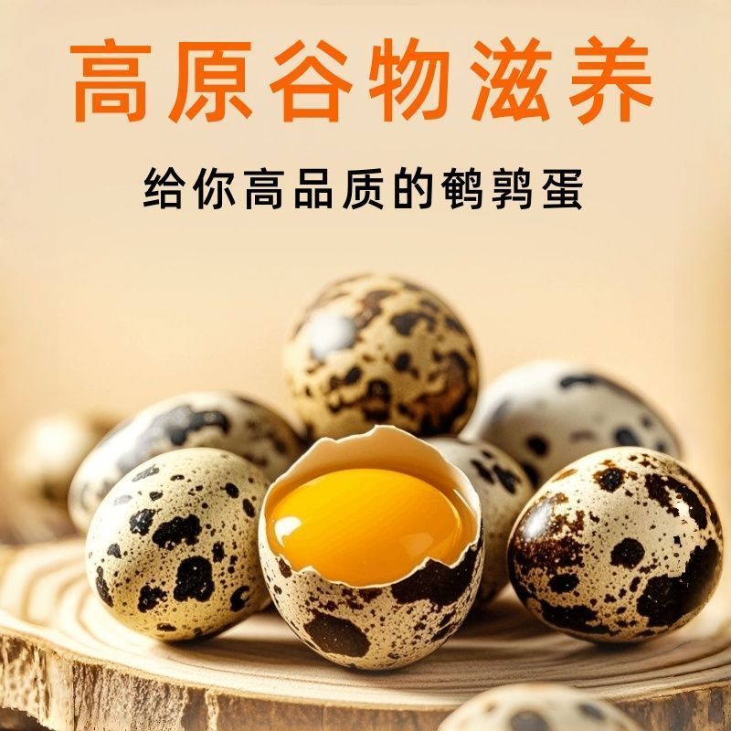 新鲜生鹌鹑蛋儿农家杂粮喂养现捡现发高蛋白营养辅食整箱现捡现发