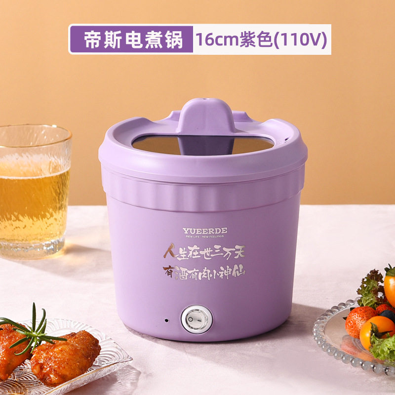 110V电煮锅多功能带蒸笼迷你泡面电煮锅多功能一体锅