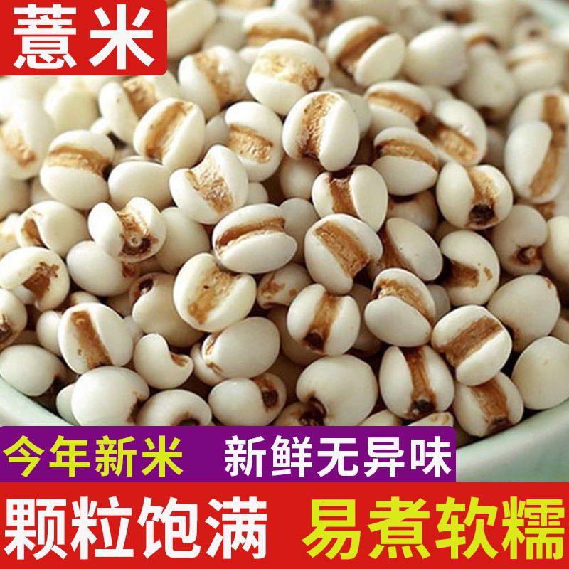 正宗薏米新鲜农优质无硫生薏仁煮粥泡水花草茶薏苡仁商用家用