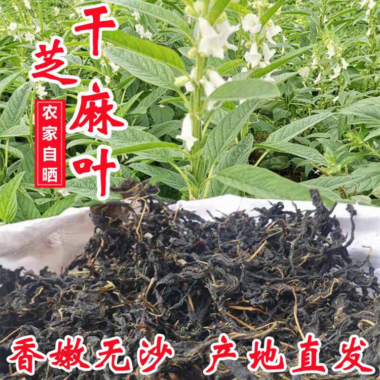 河南特产芝麻叶正宗正品半成品农家自制干菜芝麻叶粉浆配菜