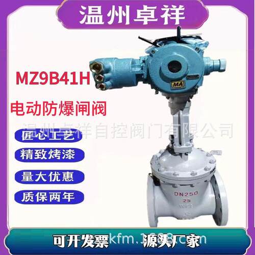 电动闸阀  水电站温压电动闸阀 Z941H-25C 铸钢 电动防爆闸阀