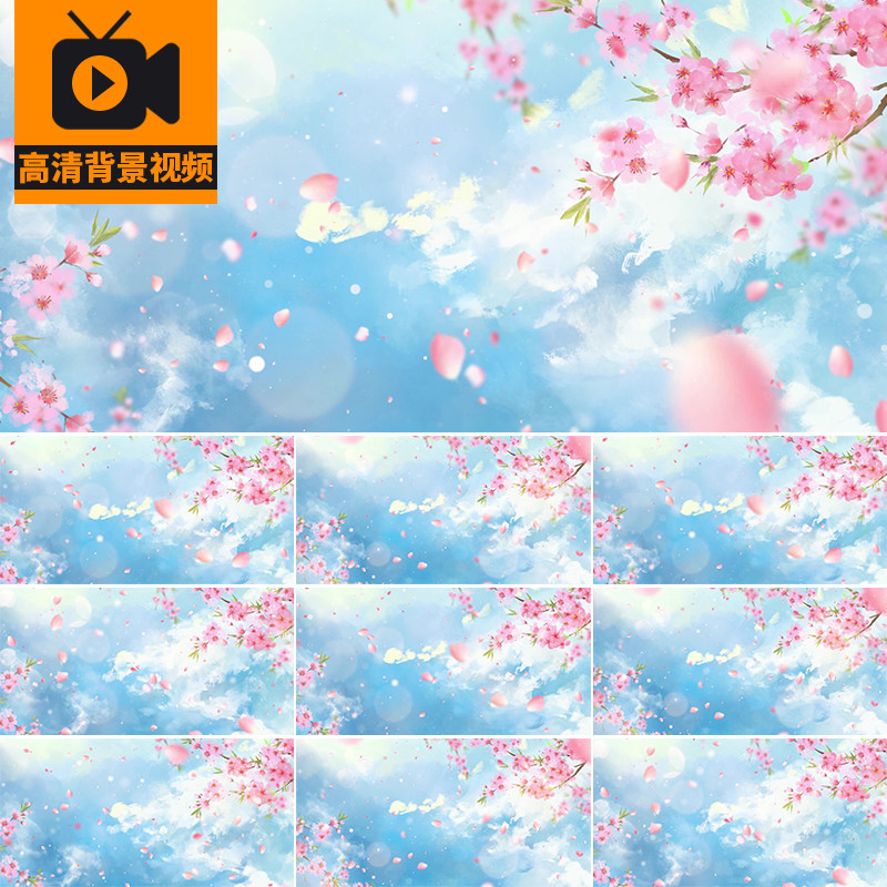 蓝天白云天空樱花桃花落花瓣飘落飞舞演出大屏幕LED背景视频素材