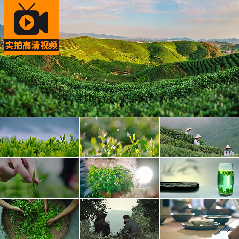 茶园茶叶茶农炒茶采茶采摘茶山绿茶泡茶喝茶品茶茶道实拍视频素材