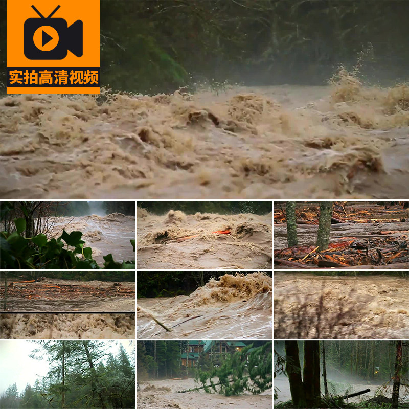 洪水暴涨山洪暴发洪峰水灾急流洪涝冲垮树木自然灾害实拍视频素材