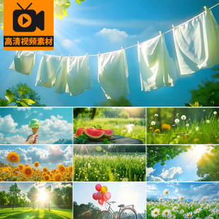 夏日阳光夏天花草树木立夏大暑唯美风景花朵绿叶舞台背景视频素材