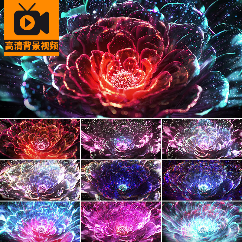 牡丹花开富贵全息粒子梦幻花朵绽放盛开舞蹈舞台LED背景视频素材