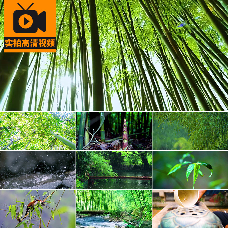 竹林小清新竹子雨水滴落竹叶春天下雨季写意唯美风景实拍视频素材
