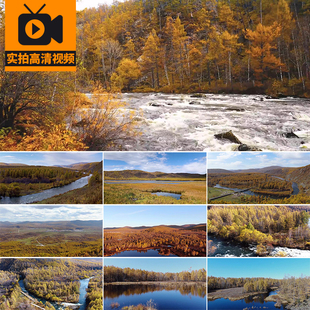 大兴安岭风光金秋森林秋天旅游秋季自然风景河流高清实拍视频素材