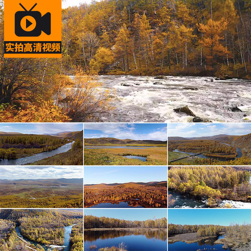 大兴安岭风光金秋森林秋天旅游秋季自然风景河流高清实拍视频素材