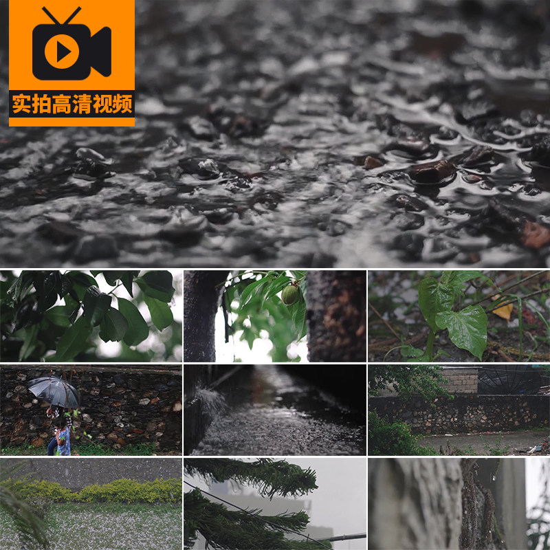 阴雨天气下雨天叶子绿叶滴水春雨植物空镜头雨景实拍高清视频素材