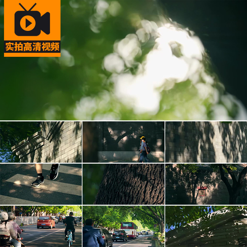 夏日树叶光影阳光照射树影街道街景人文逆光夏天风景实拍视频素材