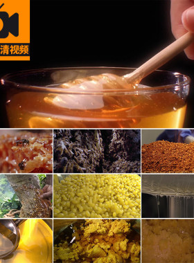 采蜂蜜蜜蜂采蜜蜂巢液体块状养蜂业酿造蜂胶食品实拍高清视频素材