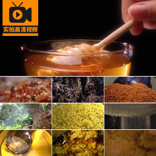 采蜂蜜蜜蜂采蜜蜂巢液体块状养蜂业酿造蜂胶食品实拍高清视频素材