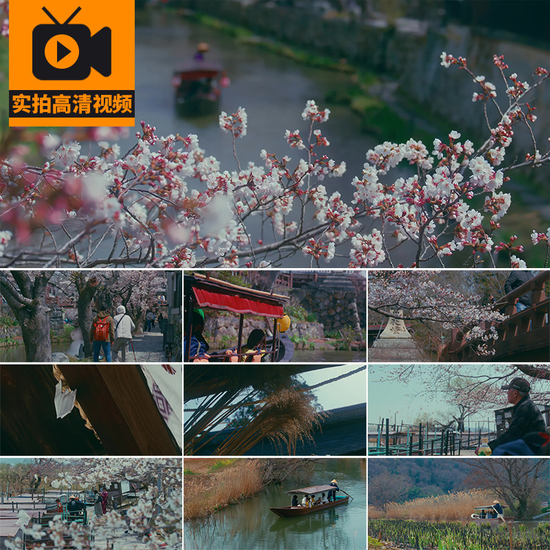 日本樱花水乡湖畔古镇春天鲜花花朵人文旅游风景公园实拍视频素材