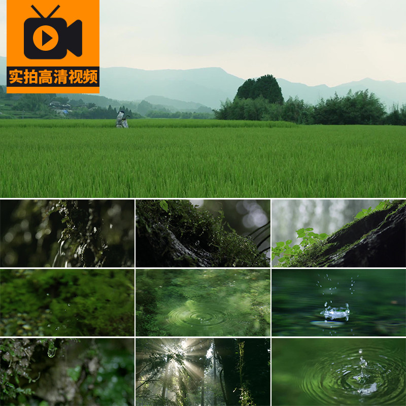 大自然水滴落水珠雨水溪水流健康清澈纯天然山泉水源实拍视频素材