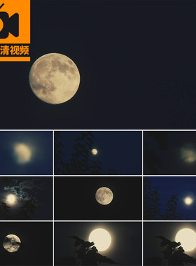 月黑风高夜晚夜色乌云遮罩月亮圆月映射树木唯美风景实拍视频素材