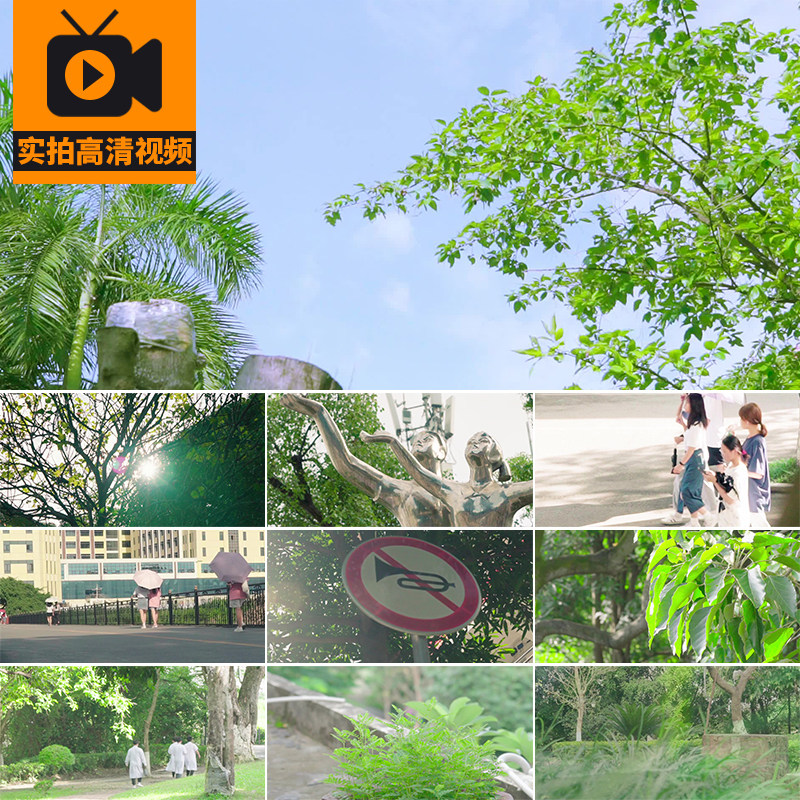 校园空镜头学校校内环境青春励志活力阳光大学生实拍剪辑视频素材