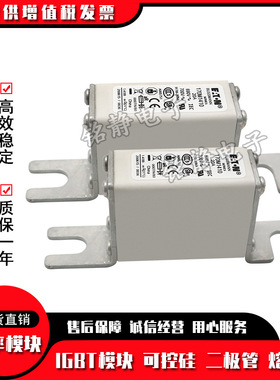 170M2691 170M2692 170M2693 170M2694 170M2695 170M2696熔断器