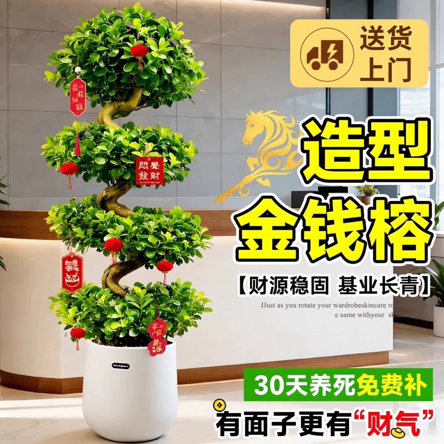 造型金钱榕飘枝绿植物旺宅树办公室内客厅送礼开业乔迁大型盆栽