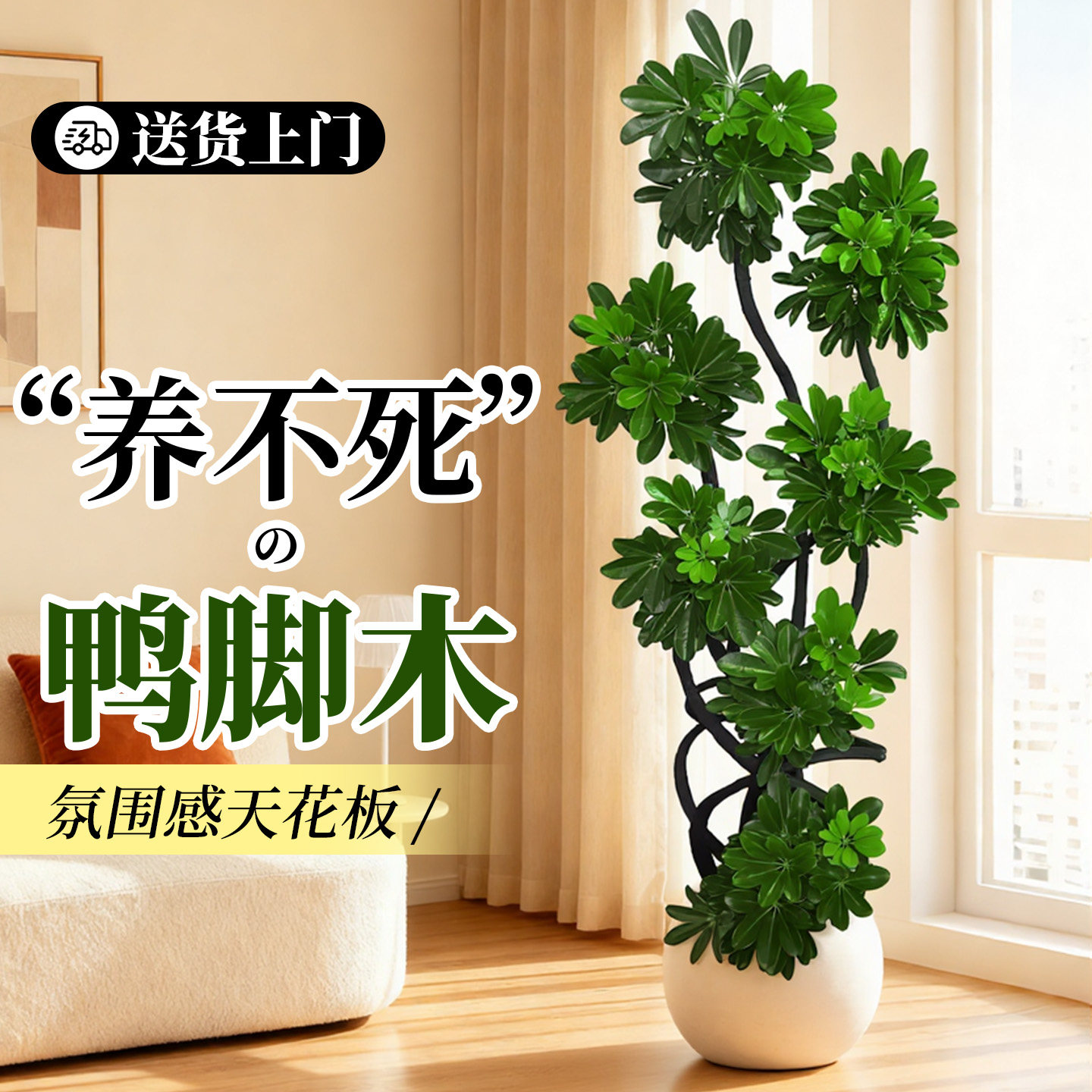 造型鸭脚木客厅绿植高级感