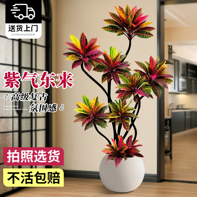 【真七彩】轻奢造型变色木绿植
