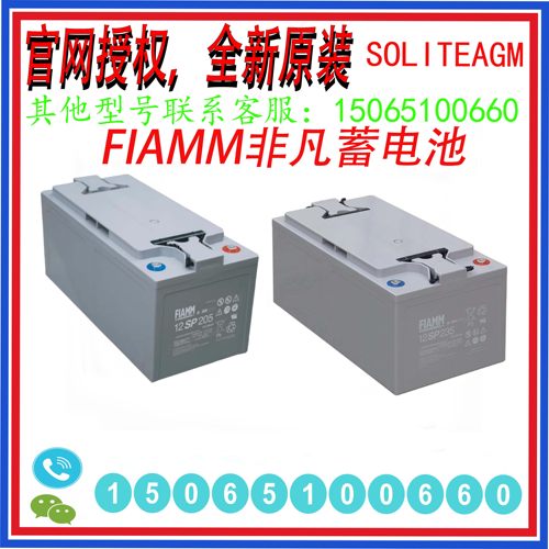 意大利FIAMM/非凡蓄电池12FLB