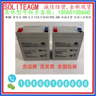 WING 蓄电池 ESH 5.2-12医疗船舶12V5.2AH 机械手臂 机器人控制柜