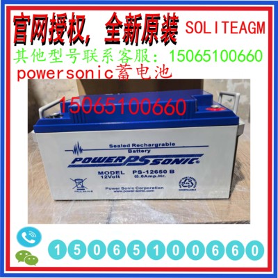 powersonic蓄电池12V100AH7/