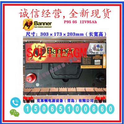 奥地利Banner班纳蓄电池P95
