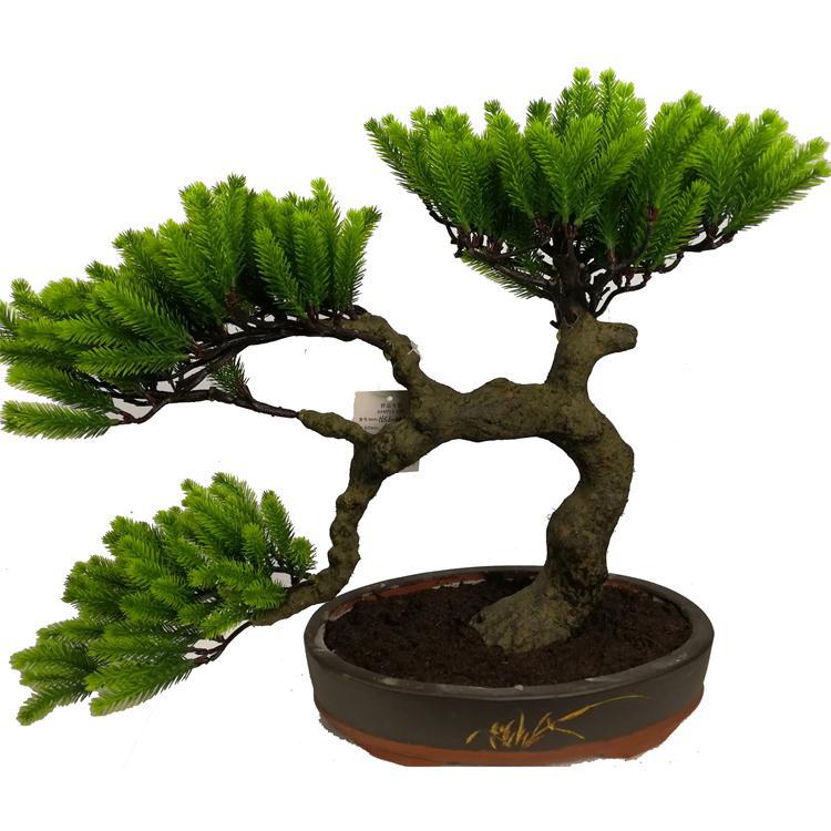 仿真松针室内室外居家摆设仿真植物盆栽园林观景茶桌摆件支持定制