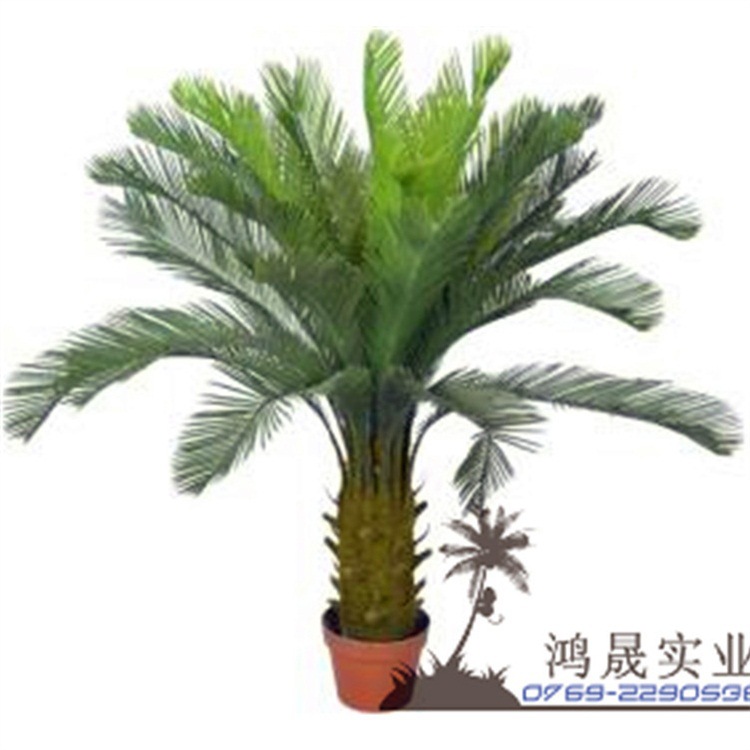 东莞仿真植物厂仿真盆栽树 苏铁树仿真苏铁 大型铁树装饰