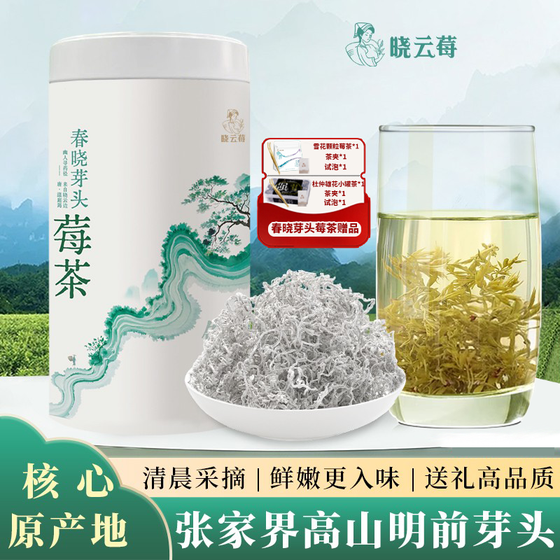 2025新茶 清晨采摘 高山莓茶