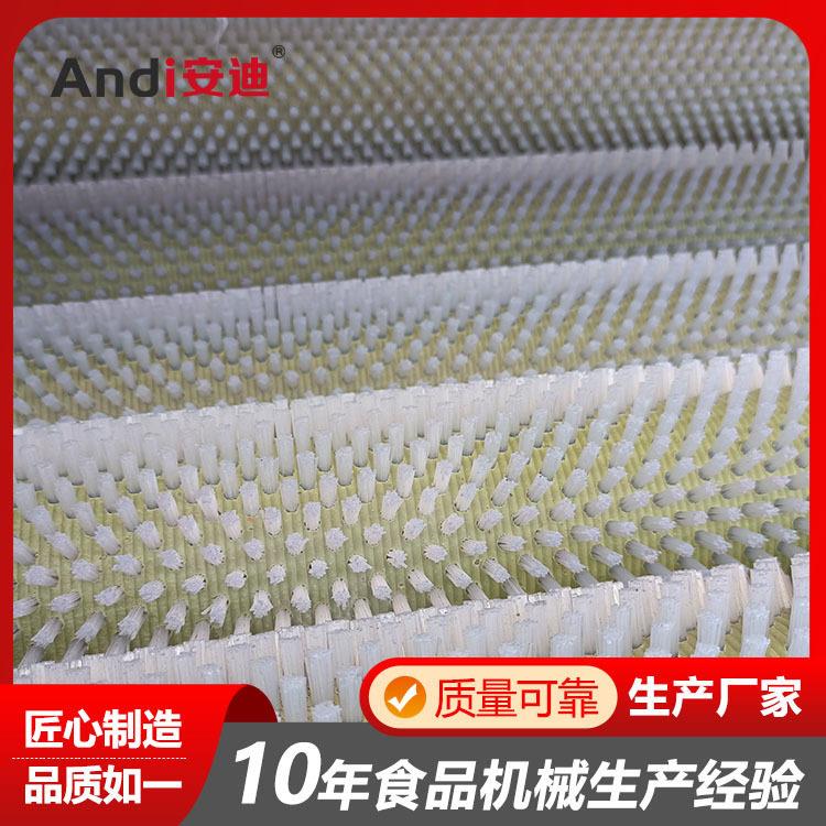 独丁根清洗去皮机 桔梗三七材毛辊清洗机 平行式喷淋无损去泥