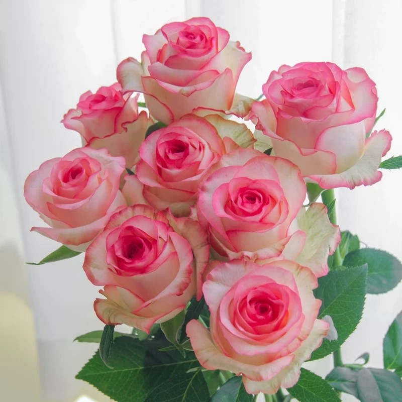 多头玫瑰花鲜花向日葵洋桔梗香水百合花水养花束送人