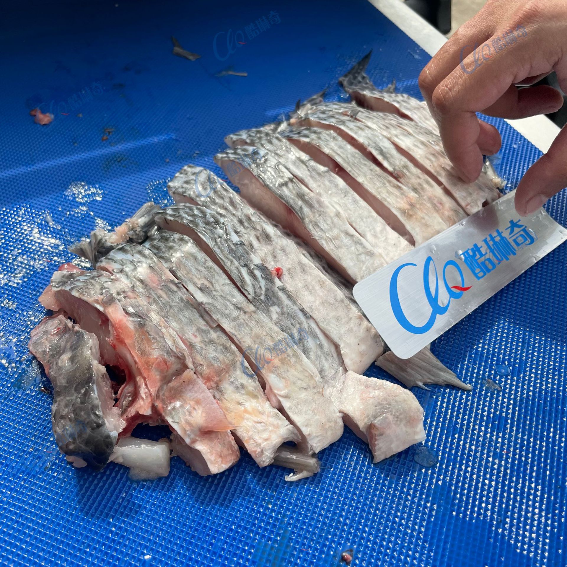 .兔肉切块机 草鱼活鱼切段机鱼皮分割机切鱿鱼机 双向墨鱼切条机