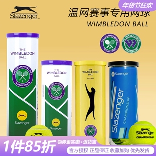 slazenger史莱辛格网球高弹耐打训练球温网单人练习比赛运动用球
