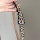 Millennium style leopard Vintage古着 pattern buckle腰带
