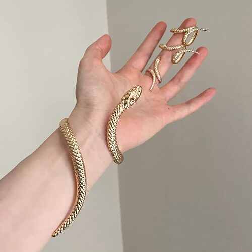 Vintage古着 Folded Spirit Snake套装