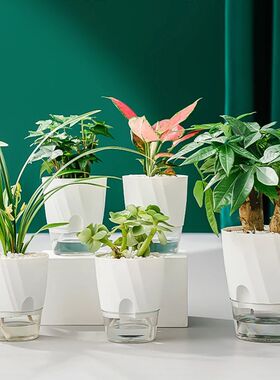 Lazy Hydroponic Flower Pot Automatic Water-Absorbing Flowerp