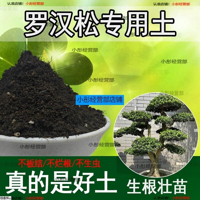 罗汉松专用土罗汉松专用肥料营养土盆栽土养花种花土种植土壤通用
