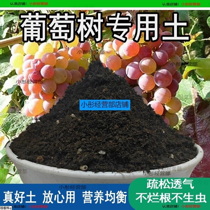 葡萄树专用土肥料室内种植育苗葡萄树种树营养土有机土土壤栽培土