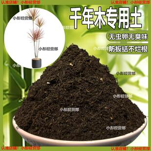千年木专用土肥料盆栽土壤园艺养花育苗花土阳台千年木营养土蓬松
