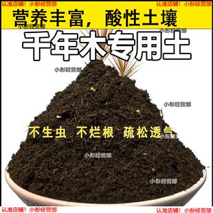千年木专用土肥料盆栽土壤园艺养花育苗花土阳台千年木营养土蓬松