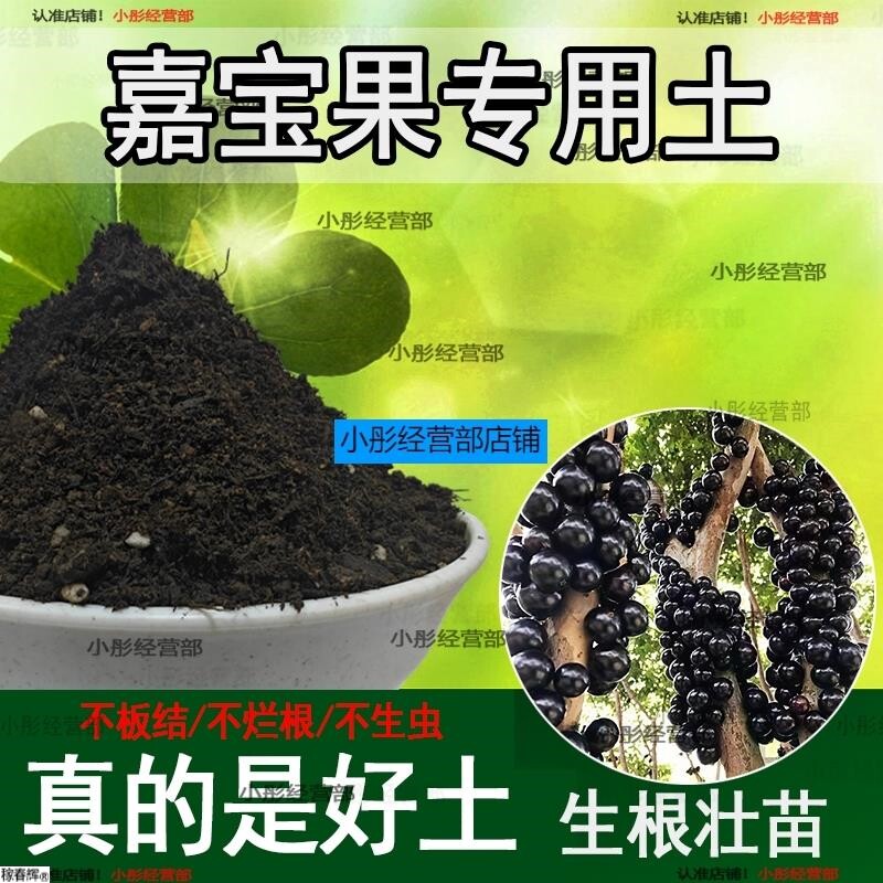 嘉宝果专用土家用植物种植土壤嘉宝果营养土农业果树泥土有机土