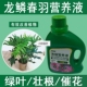 龙鳞春羽营养液通用型龙鳞春羽专用营养液花肥绿植水培植物肥料