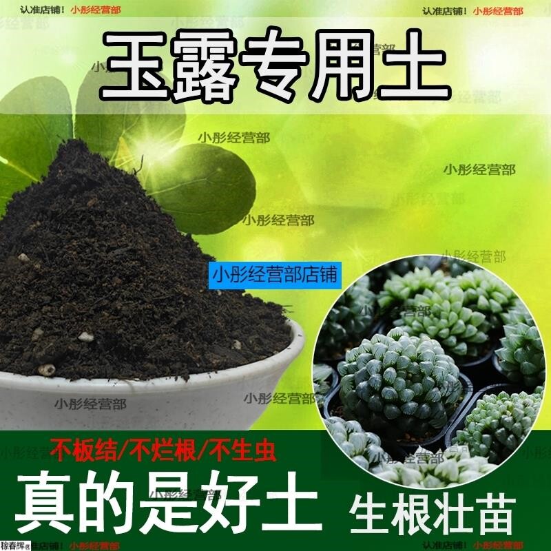 玉露专用土养花通用营养土有机土盆栽土园艺种植土家用土盆景土壤