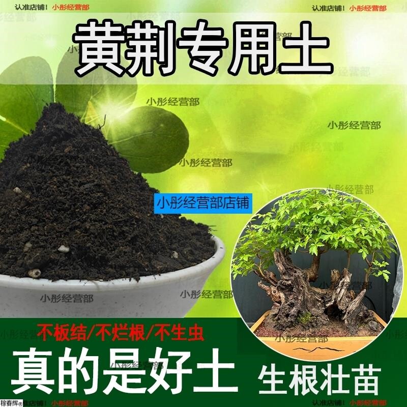 黄荆专用土盆栽阳台盆景种花养花黄荆营养土通用种植土壤有机肥料