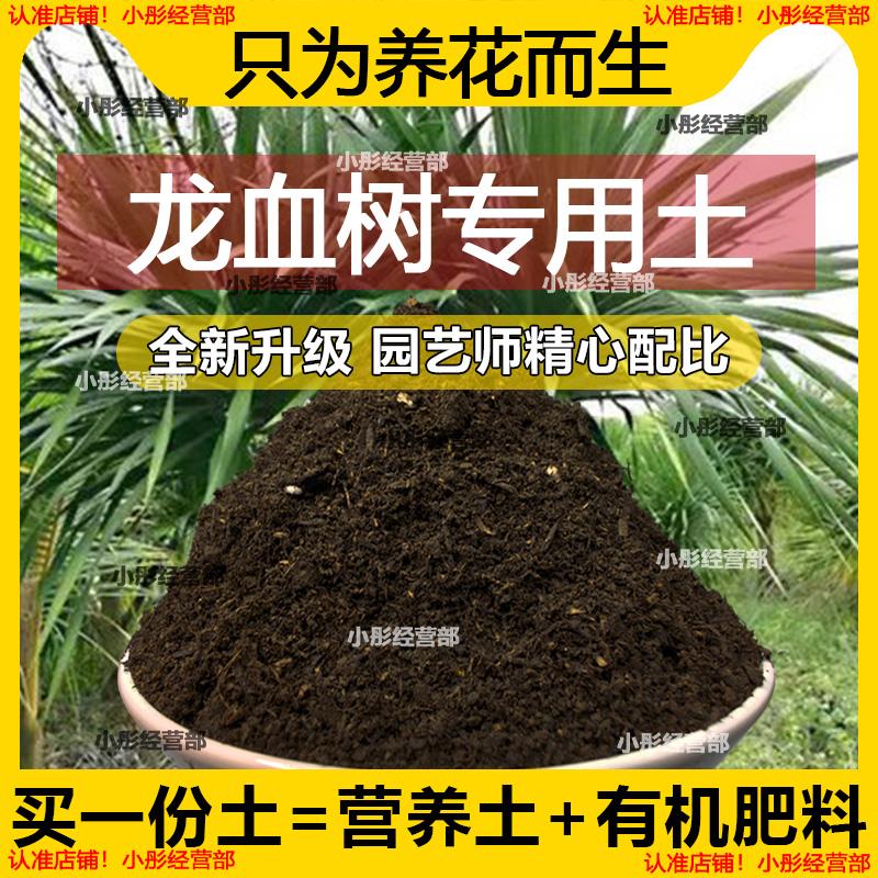 栽种龙血树专用土壤肥料通用型混合专用通用花土蓬松泥土无菌土壤