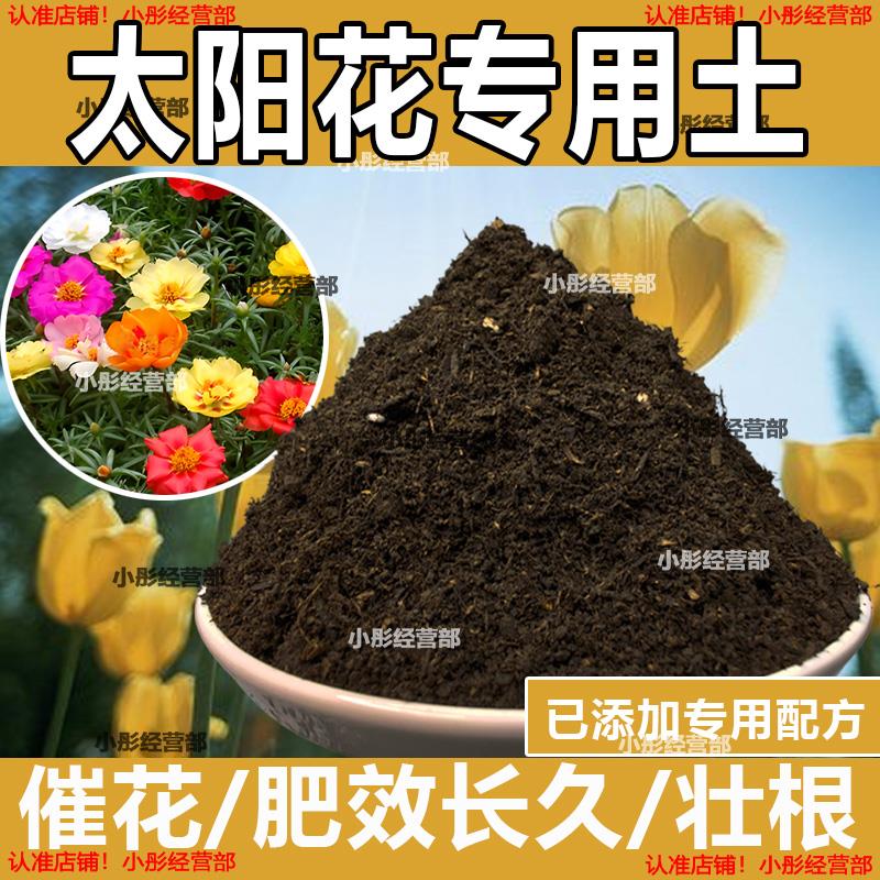 太阳花专用土花卉种植土壤太阳花营养土养花种花肥料盆栽有机花土