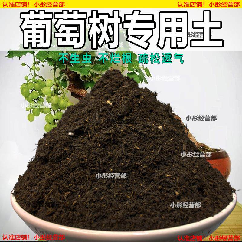 葡萄树专用土肥料室内种植育苗葡萄树种树营养土有机土土壤栽培土